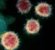 New coronavirus detected in patients in Malaysia it has come from dogs