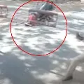 Shocking Road Accident in Mancherial Dist