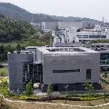 Wall Street Journal story on corona origin