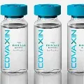 Bharat Biotech tries to get nod for Covaxin from WHO