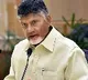 TDP Politburo discuss about Mahanadu