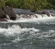 Migrant Labourers missing in Sileru River as their boats submerged