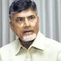 mahanadu begins tomorrow chandrababu