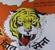 BJPs focus is UP polls instead of tackling COVID claims Shiv Sena