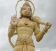 TTD and Kishkinda samtan starts discussions on Lord Hanuman birth place