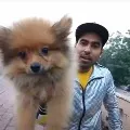 Delhi police arrests youtuber after he tied balloons to his dog