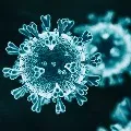 IPH director GVS Murthy opines on corona pandemic in India