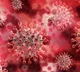 IIT Mandi Study Reveals Structure Of Key Protein In Covid Virus