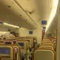 USA bound Airindia plane returns Delhi airport after bat entered into flight cabin