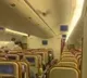 USA bound Airindia plane returns Delhi airport after bat entered into flight cabin