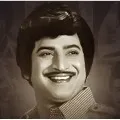 Birthday greetings poured on Superstar Krishna