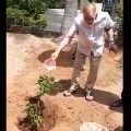 Superstar Krishna planted a sapling on his birthday