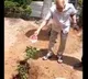 Superstar Krishna planted a sapling on his birthday