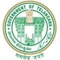 Summer holidays for schools in Tealangana extended