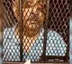 Documents show Mehul Choksi arrived in Dominica earlier than claimed