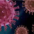 AP Second Wave Corona Update