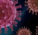 AP Second Wave Corona Update
