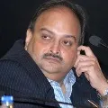 Mehul Choksis brother bribed Dominicas leader of opposition