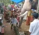 Elephant bids final farewell for his mahout in Kerala