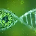 A study says corona virus delta variant causes surge in India