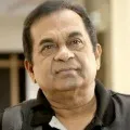 Brahmanandam response on Hanuman birth place issue