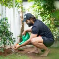 alluarjun encourages netizens to plant trees by kicking off GoGreenWithAA