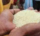 app accuses centre is stopping hm delivery of ration