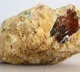 Yemen fishermen gets valuable Ambergris
