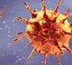 Daily corona cases declines in AP