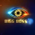 Bigg Boss fifth season will go in a few weeks
