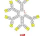 Nasal Spray with Hybrid Antibodies effective against 20 Covid Variants