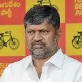 Reports says L Ramana may join TRS