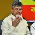 TDP Chief Chandrababu wrote AP Governor and ask to respond on police behavior