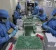 Problems At Biggest Vaccine Maker Serum Cause Global Shortages