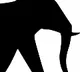 Elephant Gajarani Died with Age related issues in Hyderabad zoo