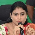 sharmila to reach parigi