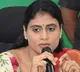 sharmila to reach parigi