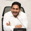 AP Govt decides to take DSC qualified candidates as SGTs