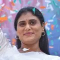 YS Sharmila afraid of lizard