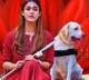 Nayanatara movie in OTT