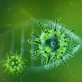 Public Health England Study about Corona Delta Variant