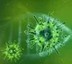 Public Health England Study about Corona Delta Variant