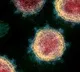 Chinese researchers found new batch of coronaviruses