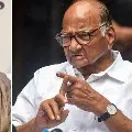 Sharad Pawar is the President candidate upcoming elections