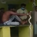 Karnataka man catches snake which bite him