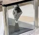 Moon rock from 1972 adorns US President Joe Bidens Oval Office