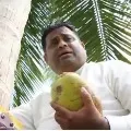 Sri Lankan minister climbed a coconut tree
