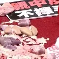 Pig guts fly as Taiwan lawmakers fight in parliament