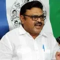 YCP MLA Ambati Rambabu comments on judicial systems