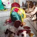 Seethamma idol vandalized in Vijayawada and police said being probed